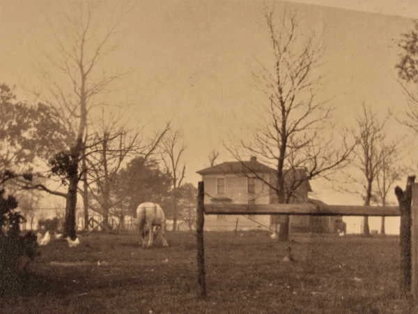Ahlgrim farm, Dundee — farmhouse with a horse grazing and chickens, bare winter trees
