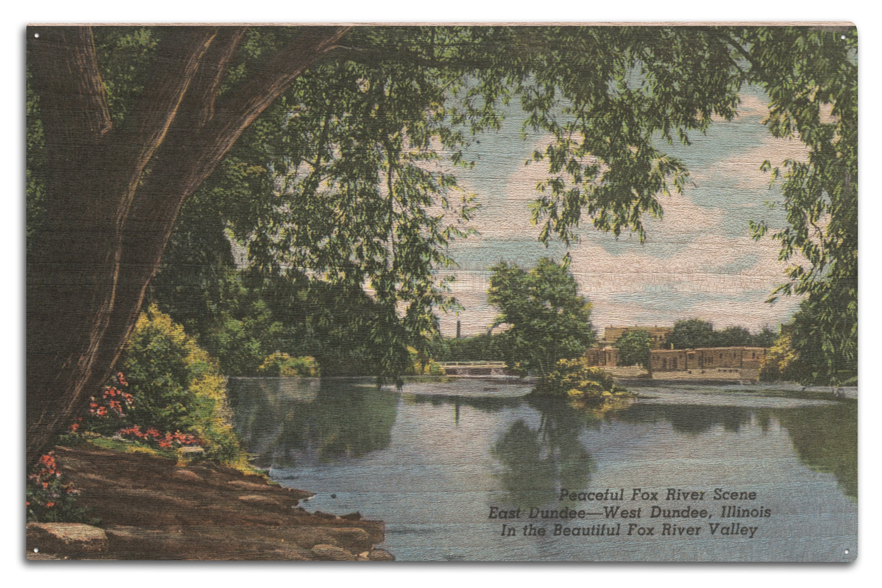View along the Fox River, Dundee, Illinois — tree trunks framing the water