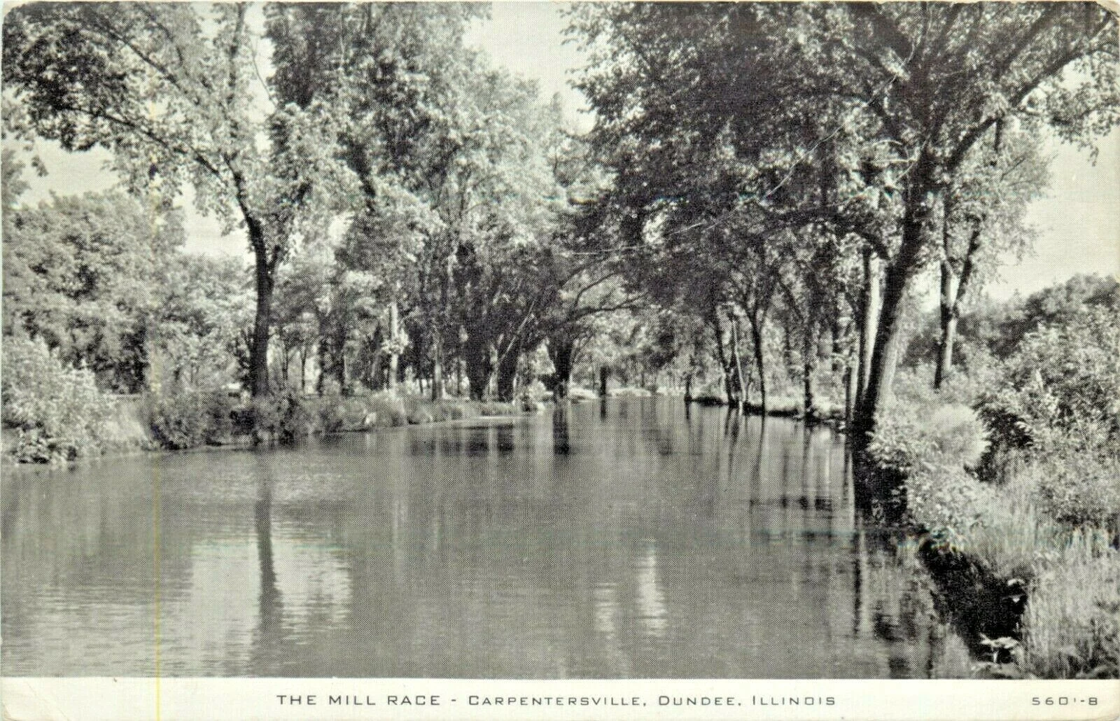 The Mill Race, Carpentersville, Dundee, Illinois — tree-lined water channel