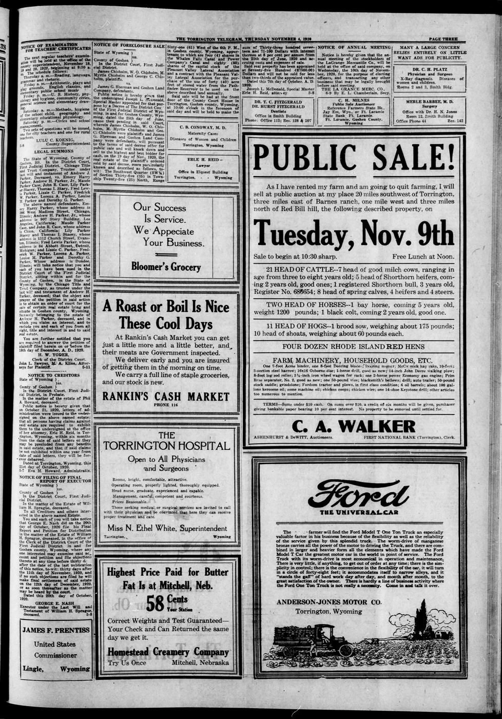 Scanned newspaper page from Image 3 of Torrington telegram (Torrington, Laramie County, Wyo.), November 4, 1920, showing a legal summons naming Dorothy G. Parker and other Dundee, Illinois residents as defendants in a Wyoming estate case